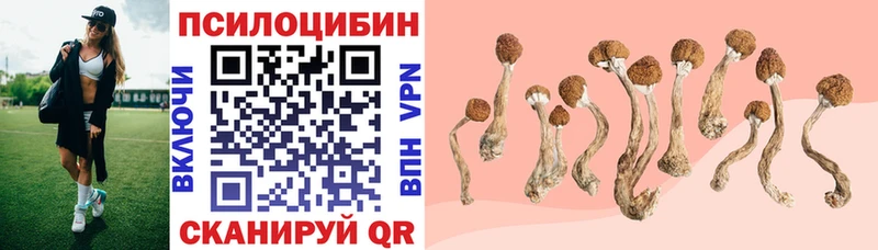 Псилоцибиновые грибы Magic Shrooms  Королёв 